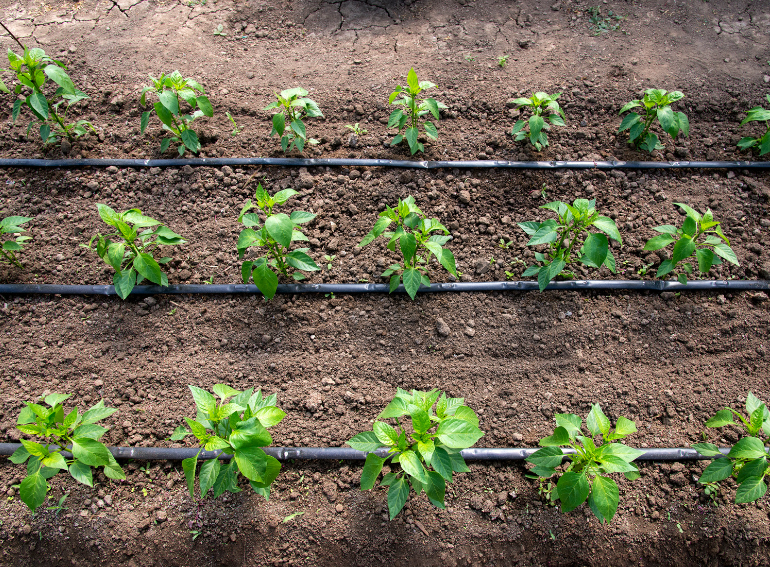 DAMLAMA SULAMANIN AVANTAJLARI NELERDİR?