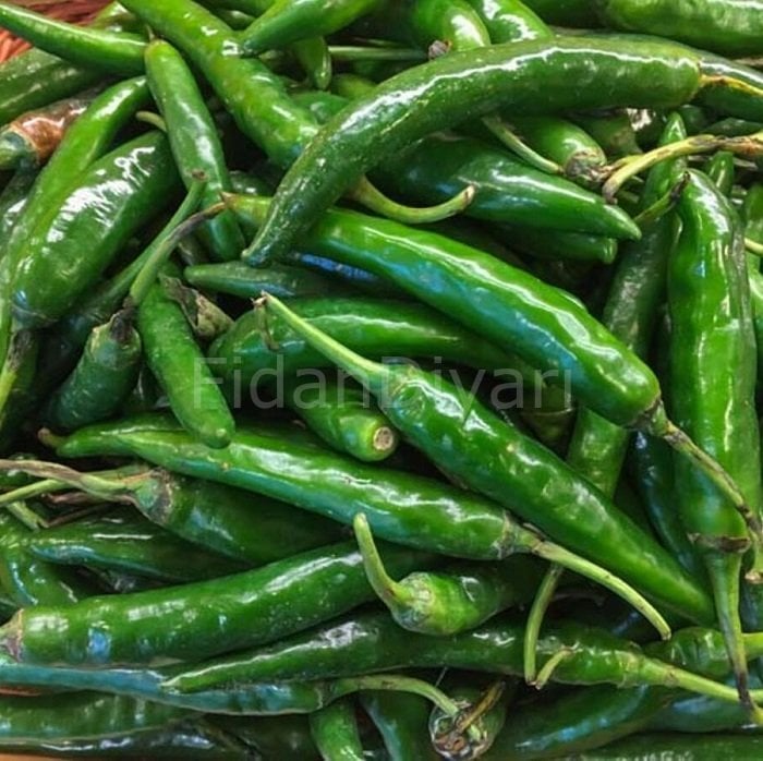 Acı Frenk Biber Fidesi 50 adet