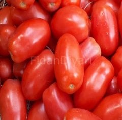 Salçalık Sivri Domates Fidesi 50 adet