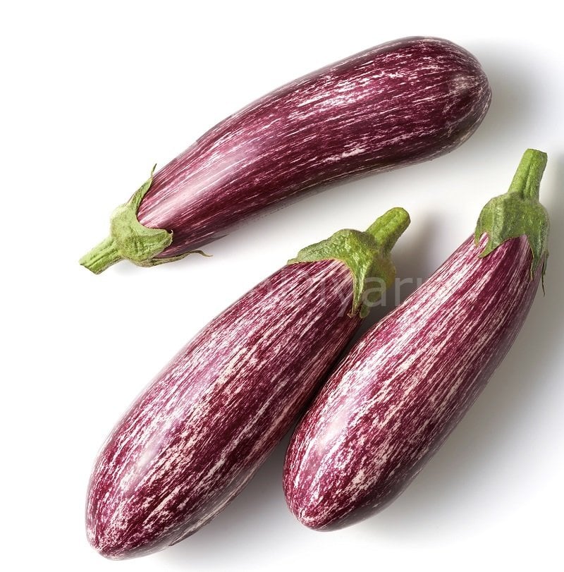 Kırçıl Patlıcan Fidesi 50 adet