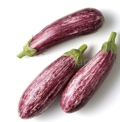 Kırçıl Patlıcan Fidesi 50 adet