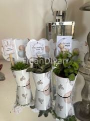 80 Adet Külahlı Hediyelik Sukulent Paketi