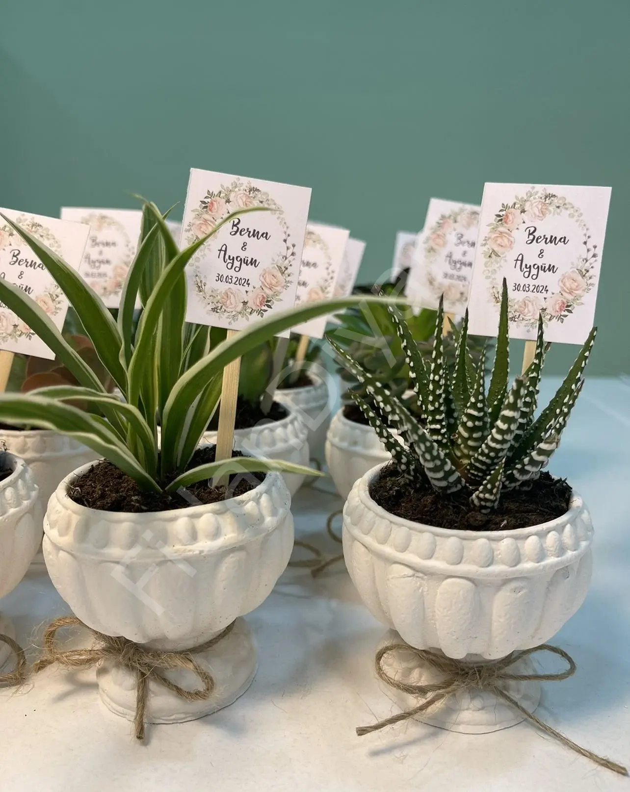 10 ADET KUPA MODEL DESENLİ BETON SAKSILI MİX PAKET