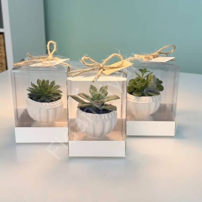 10 ADET ASETAT KUTU BETON KUPA MODEL SAKSILI MİX PAKET