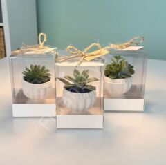 10 ADET ASETAT KUTU BETON KUPA MODEL SAKSILI MİX PAKET