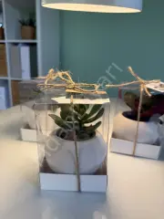 10 ADET ASETAT KUTU BETON TOP MODEL SAKSILI MİX PAKET