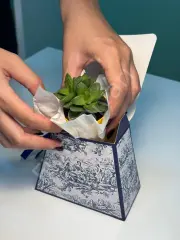 10 ADET HELEN DESEN KUTU ÇANTALI SUKULENT