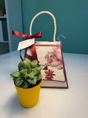 10 ADET ORKİDE DESENLİ KUTU ÇANTALI SUKULENT