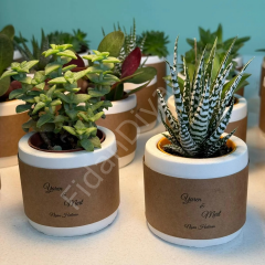 10 ADET KRAFT SARILI SİLİNDİR BETON MODEL