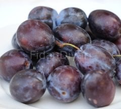 Birton-Stanley Erik Fidanı Yarıbodur, 200 cm, 5-6 Yaş Saksılı