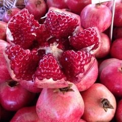 Açık Köklü Deve Dişi Nar Fidanı,