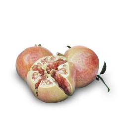 Tatlı Nar Fidanı, Tüplü/Saksılı