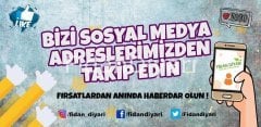 3'lü Red Globe Üzüm Fidanı Paketi, Tüplü