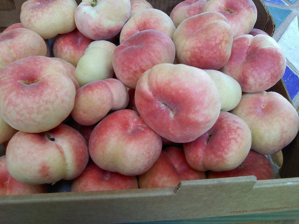 Açık köklü Domat Şeftali Fidanı