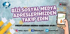 Açık Köklü Pink Lady Elma Fidanı