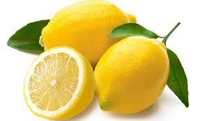 Yediveren Limon Fidanı 120-150 cm, 4 Yaş Saksılı