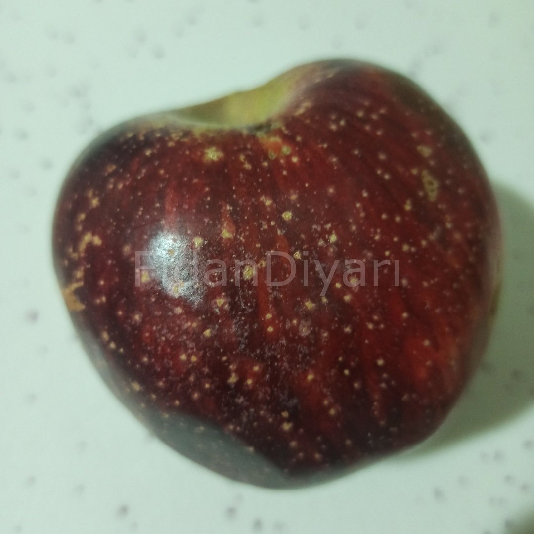 Arapkızı Elma Fidanı 80-120 cm,Tüplü/Saksılı