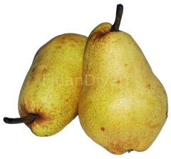 Armut fidanı 80-120 cm,Tüplü/Saksılı