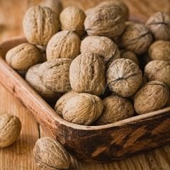 Şebin Ceviz Fidanı,Tüplü/Saksılı