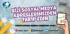 Alphonse Çember Üzüm Fidanı, 2-3 Metre Tüplü/Saksılı