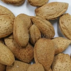 Badem Fidanı 200 cm, 5-6Yaş,Saksılı