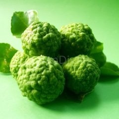 Bergamot Fidanı, 3 yaş,Tüplü/Saksılı