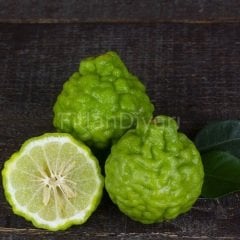 Bergamot Fidanı, 3 yaş,Tüplü/Saksılı