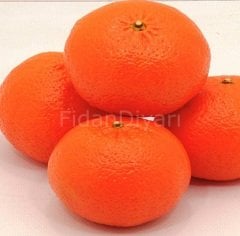 Klemantin Kokulu Mandalina Fidanı 2-3 yaş,Tüplü/Saksılı